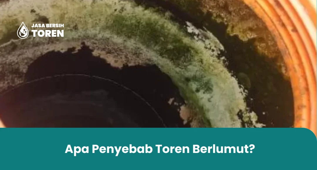 Apa Penyebab Toren Berlumut?