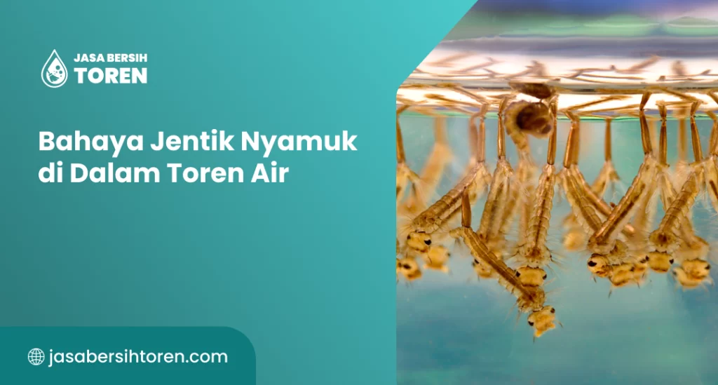 Bahaya Jentik Nyamuk di Dalam Toren Air