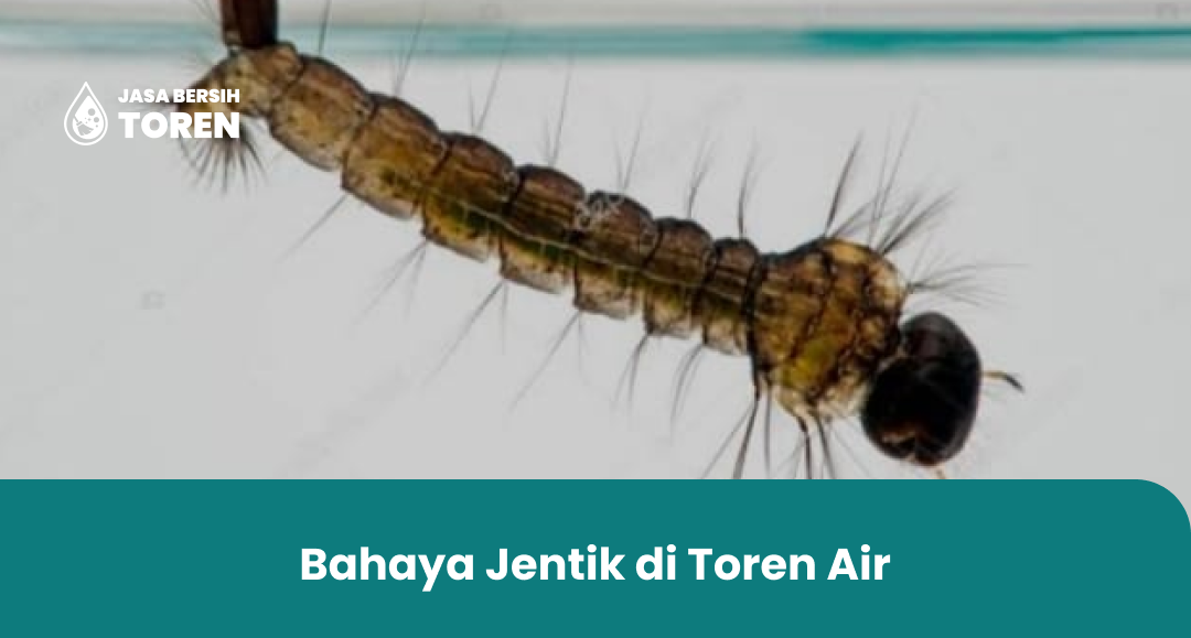 Bahaya Jentik di Toren Air