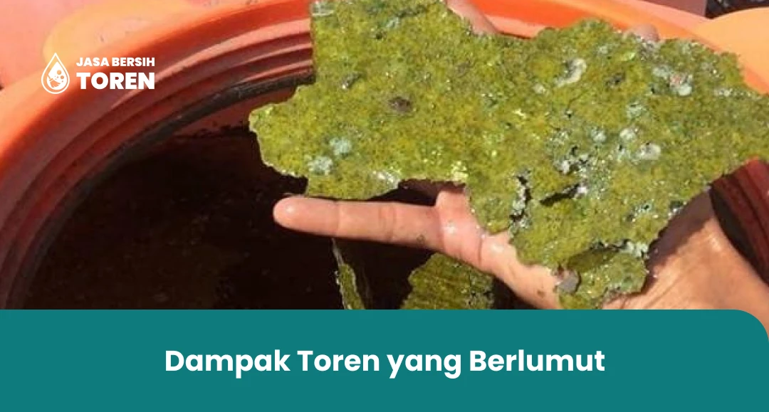Dampak Toren yang Berlumut