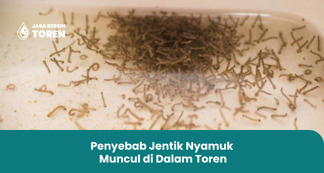 Penyebab Jentik Nyamuk Muncul di Dalam Toren