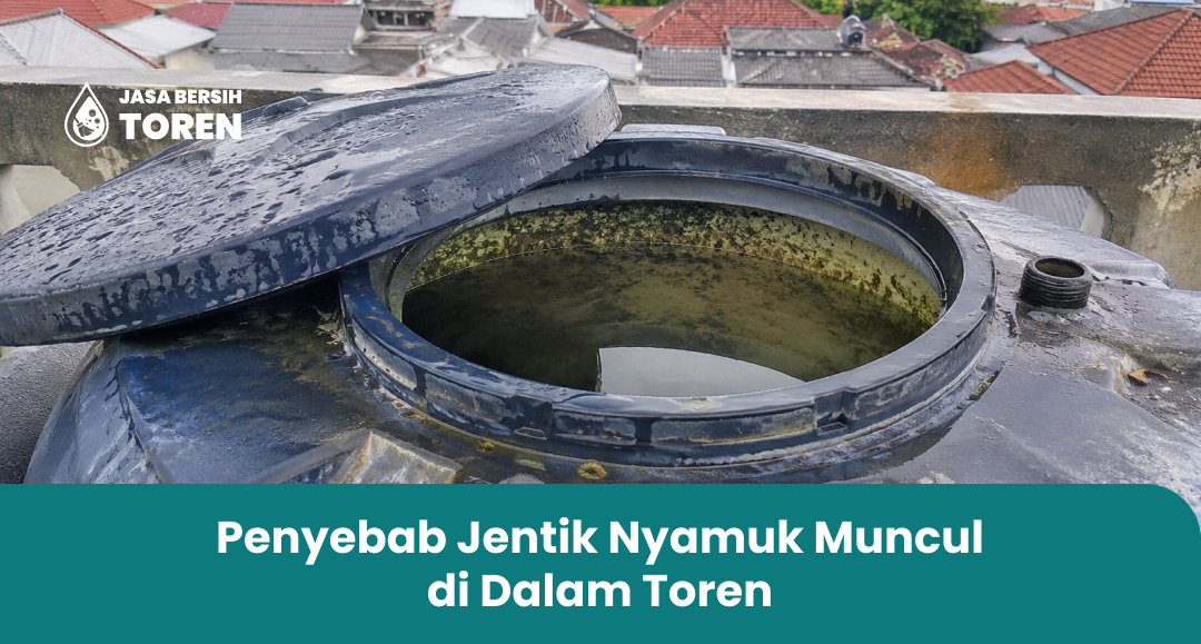 Penyebab Jentik Nyamuk Muncul di Dalam Toren