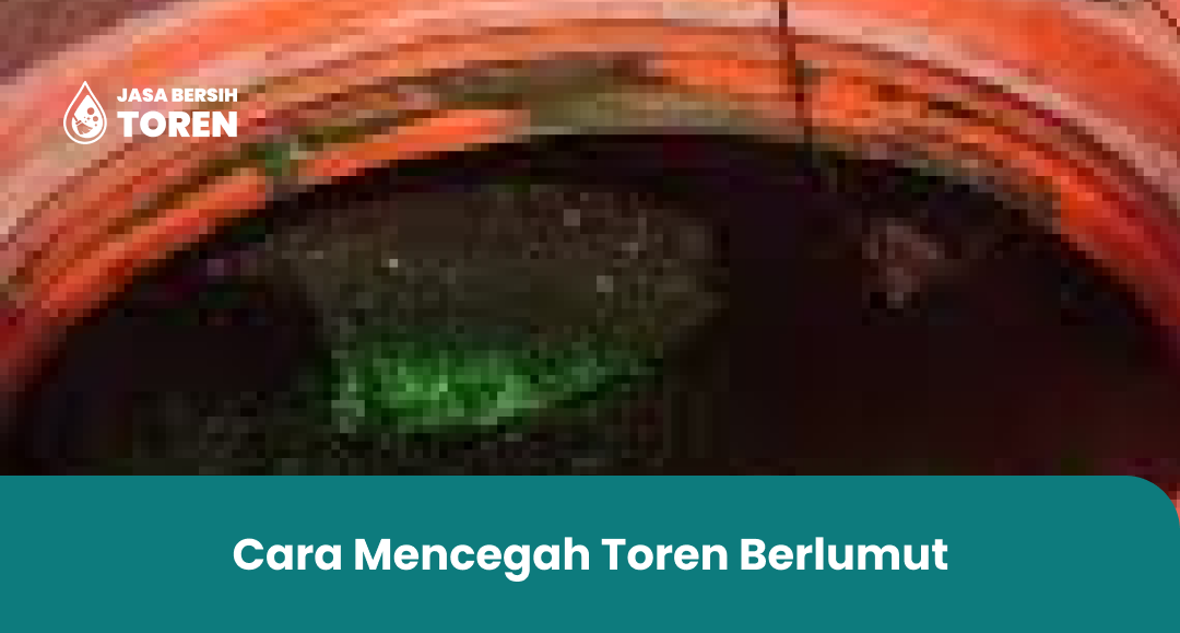 Cara Mencegah Toren Berlumut
