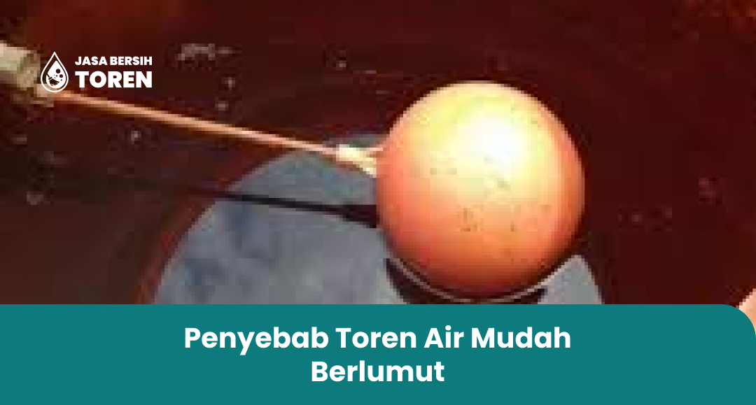 Penyebab Toren Air Mudah Berlumut