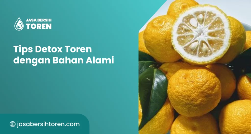 tips_detox_toren_dengan_bahan_alami